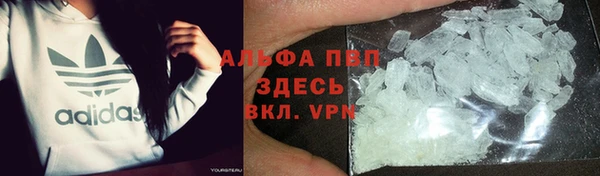 спиды Алзамай