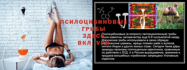 мяу мяу мука Арсеньев