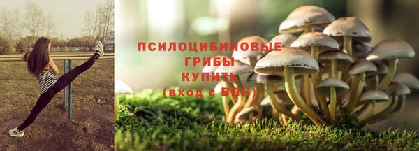 спиды Алзамай