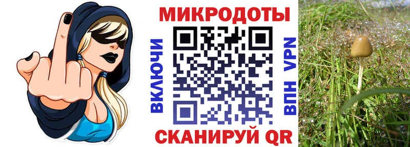 Псилоцибиновые грибы Psilocybine cubensis  Купить  Болотное 