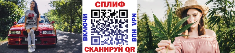 Бошки марихуана Ganja  Купить где  Болотное 